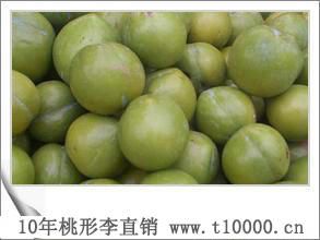 中号桃形李_水果