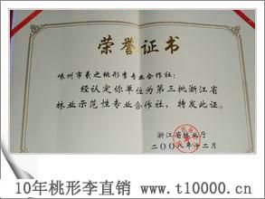 金奖水果-济渡村桃形李推广直销