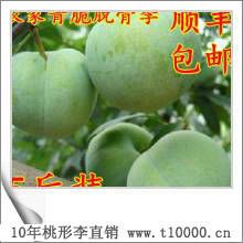 水果——浙江省嵊州桃形李功能6