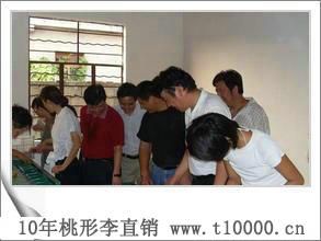 桃形李1