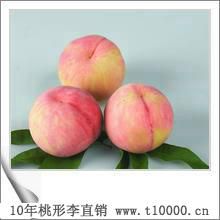 桃形李之乡——金庭桃形李8