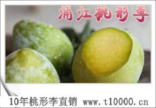 金庭特产——济渡桃形李的栽培5