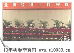 精品珍果_浙江省桃形李高产技术