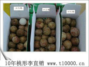 水果中颗粒桃形李的功效