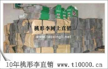 李子_大颗粒桃形李