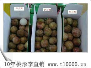 水果大颗粒桃形李销售