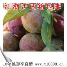 水果大颗粒桃形李销售7