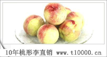 李子中号桃形李直销供应