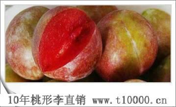 浙江省特产——金庭镇桃形李