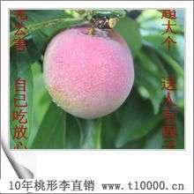 金庭羲之牌桃形李水果8
