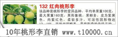 金庭桃形李出售2