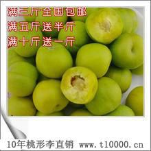 金庭桃形李出售2