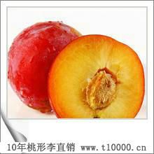 进品桃形李9
